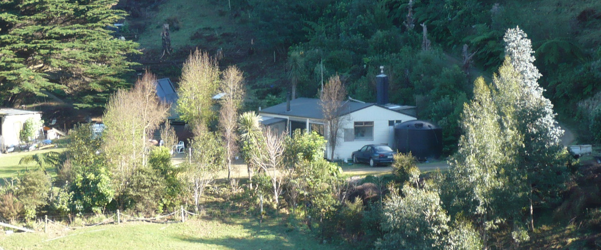 image1